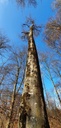 Webpage-Insektenbuche-861021.015-3-scaled.jpg