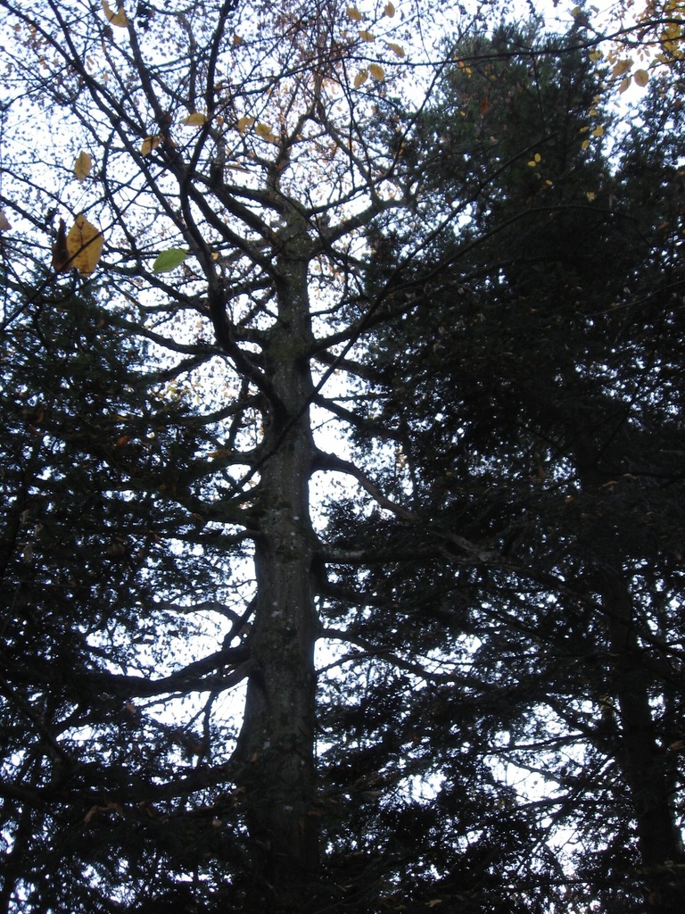 Habu-Jungholz-160-9-11-20-4-scaled.jpg