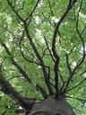 20200526_123548website-scaled.jpg
