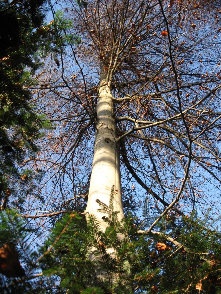 Bu-Jungholz-210-9-11-20-4-scaled.jpg