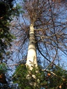 Bu-Jungholz-210-9-11-20-4-scaled.jpg