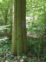 20200526_115016website-scaled.jpg