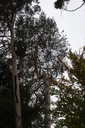DSC02407Website-scaled.jpg