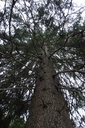 DSC02400Website-scaled.jpg