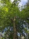 20250718_101846_Easy-Resize.com_.jpg