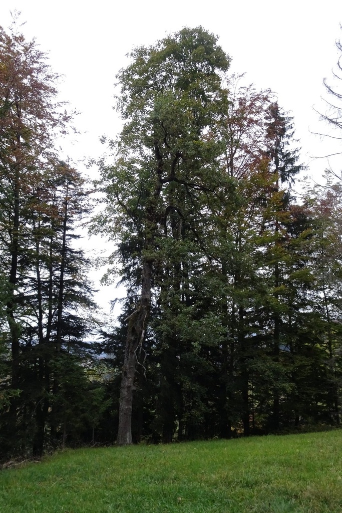 DSC02375-Website-scaled.jpg