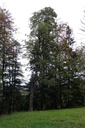 DSC02375-Website-scaled.jpg