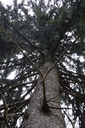 DSC02329-Website-scaled.jpg