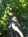 20200526_144646website-scaled.jpg