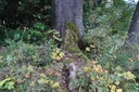 DSC02330Website-scaled.jpg