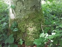 20200526_144655website-scaled.jpg