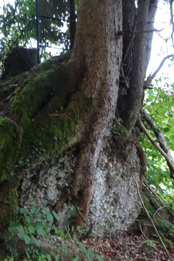 DSC02319-scaled.jpg