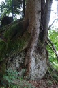 DSC02319-scaled.jpg