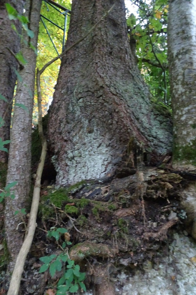 DSC02321-scaled.jpg