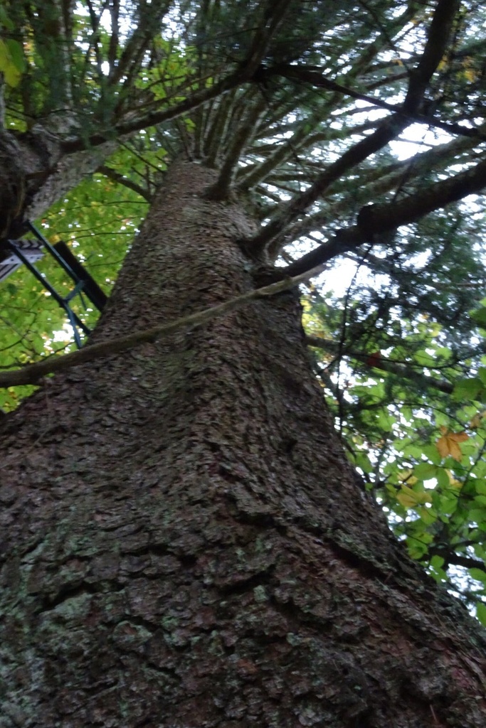 DSC02322-scaled.jpg