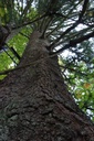 DSC02322-scaled.jpg