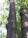20200527_112623webseite-scaled.jpg