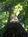20200526_174516Websi-scaled.jpg