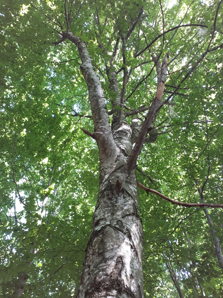 20200527_105237webseite-scaled.jpg