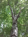 20200527_105237webseite-scaled.jpg