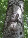 20200527_105246webseite-scaled.jpg