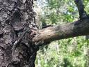 20200526_163143-scaled.jpg