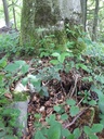 20200526_125214Website-scaled.jpg