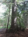 20200527_101945webseite-scaled.jpg