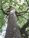 20200526_123051website-scaled.jpg