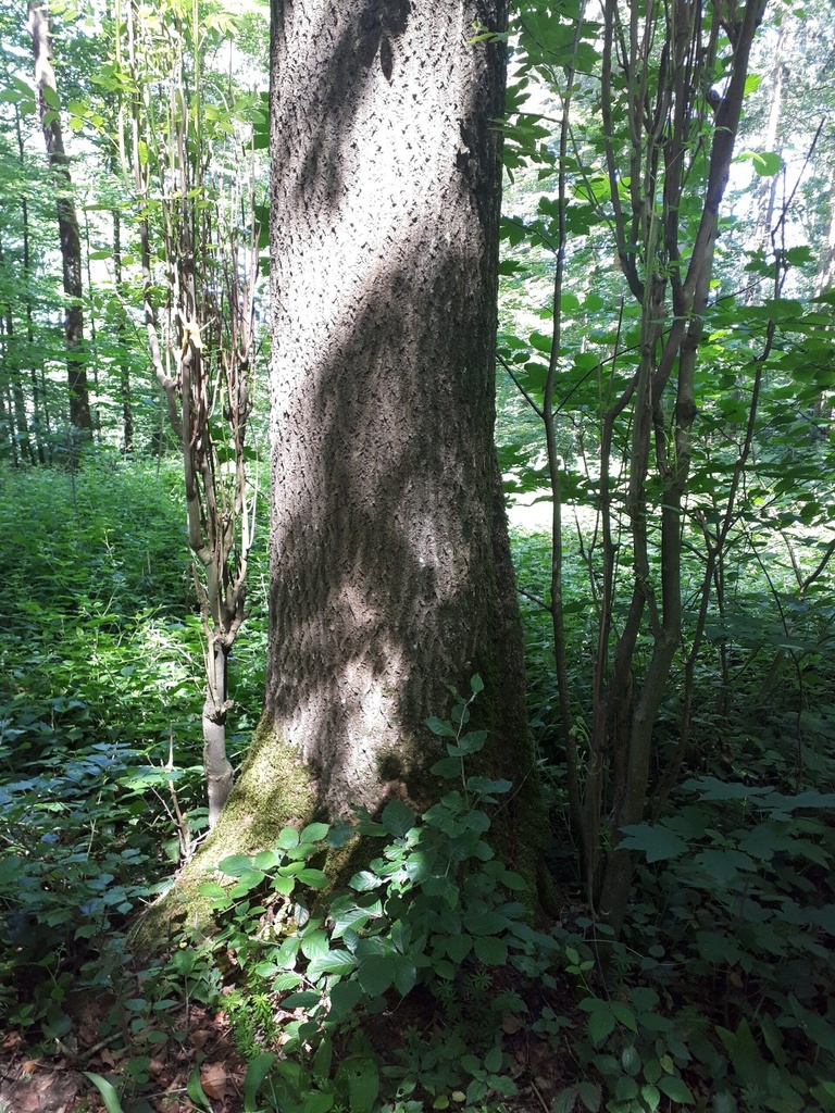 20200527_113900-scaled.jpg