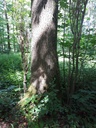 20200527_113900-scaled.jpg