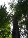 20200526_115826website-scaled.jpg