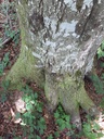 20200526_122340website-scaled.jpg