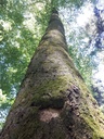 20200527_121821webseite-scaled.jpg
