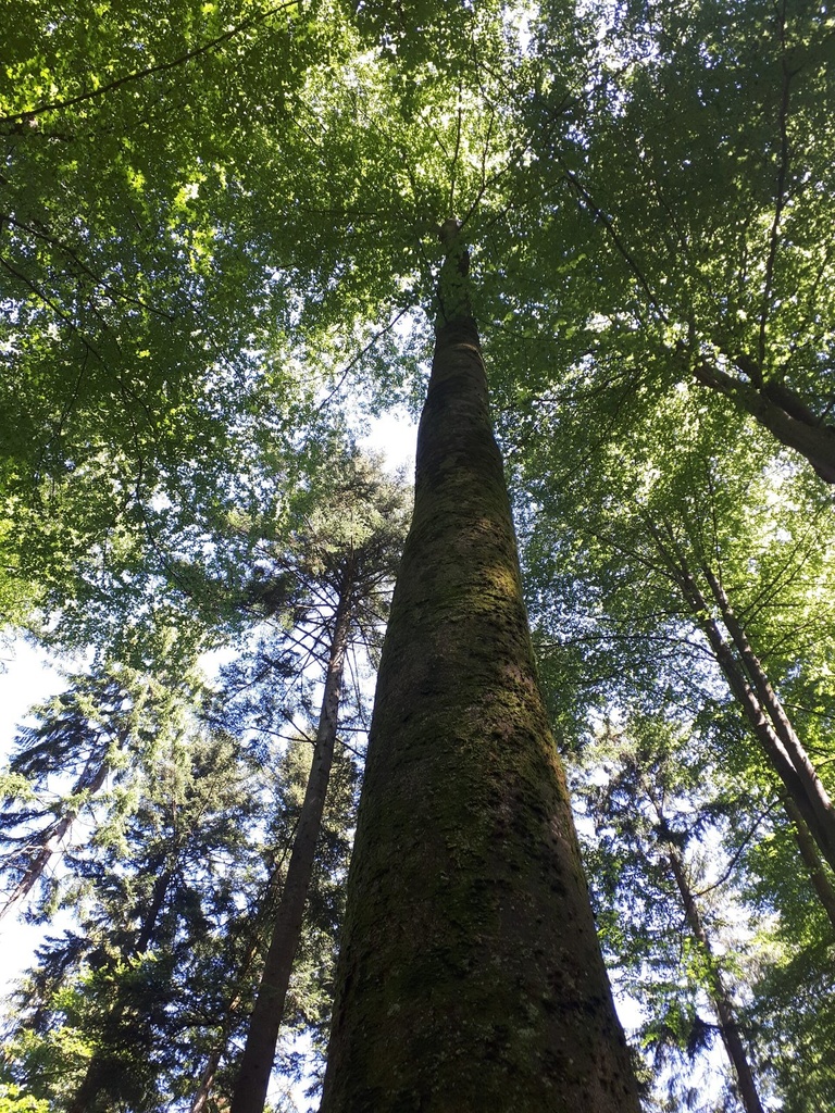 20200527_121843webseite-scaled.jpg