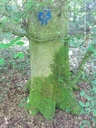 20200526_114315website-scaled.jpg
