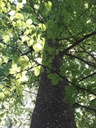 20200527_102722webseite-scaled.jpg