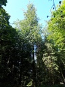 20200527_101403websete-scaled.jpg