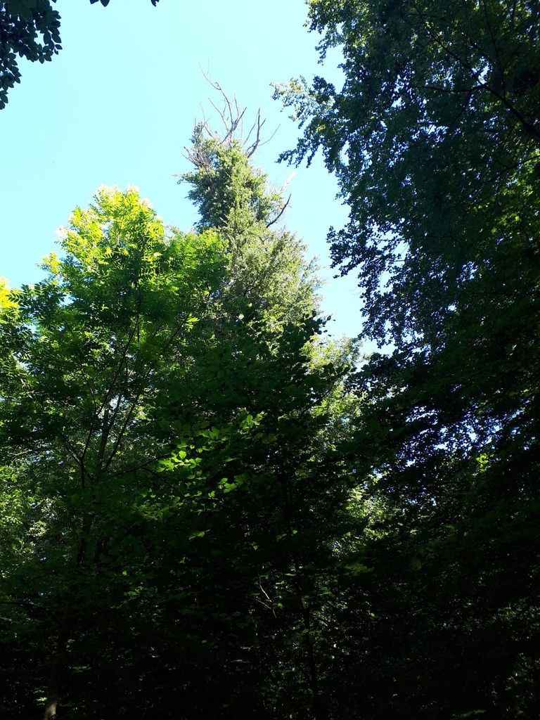 20200527_103031webseite-scaled.jpg