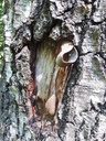 20200527_113252-Minimaus-scaled.jpg