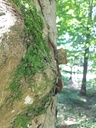 20200527_104304webseite-scaled.jpg
