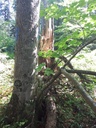 20200527_104723webseite-scaled.jpg