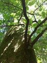 20200527_120754webseite-scaled.jpg