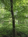 20250718_093141_Easy-Resize.com_.jpg