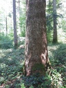20200527_122840webseite-1-scaled.jpg