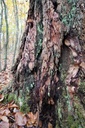 DSC00158-scaled.jpg