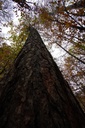 DSC00164-scaled.jpg