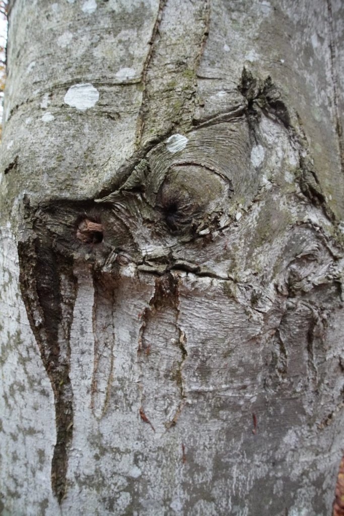 DSC00124-scaled.jpg