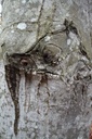 DSC00124-scaled.jpg