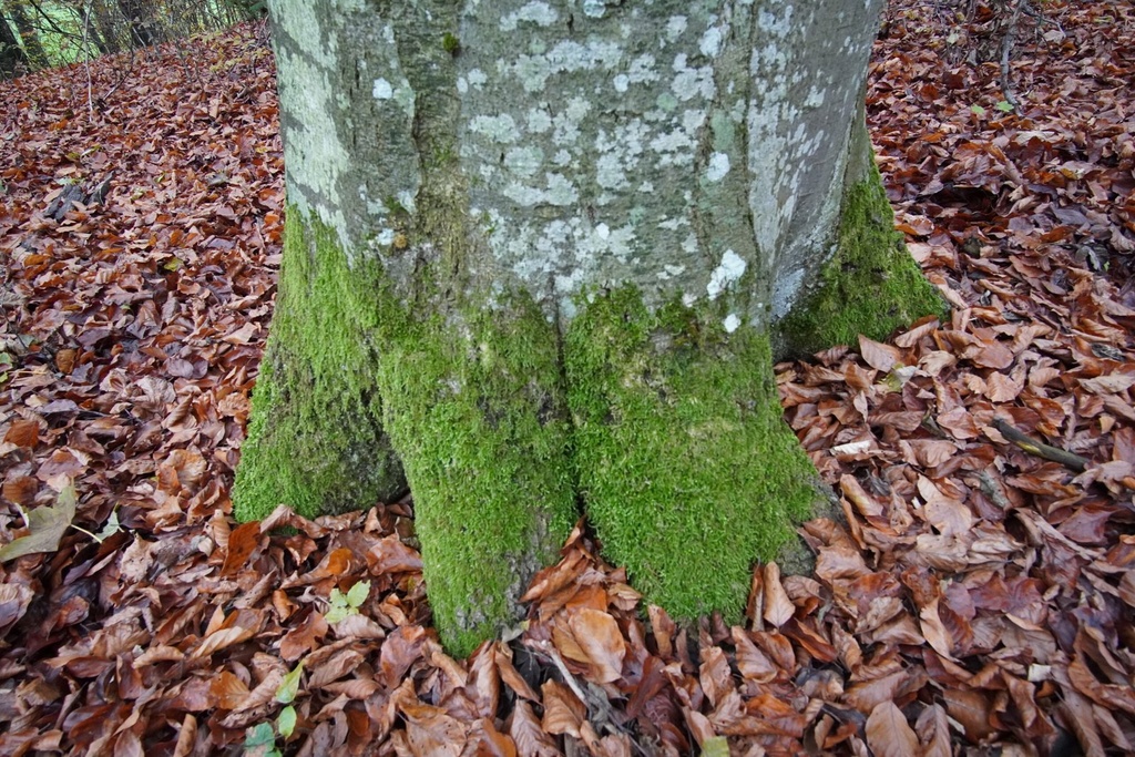 DSC00125-scaled.jpg
